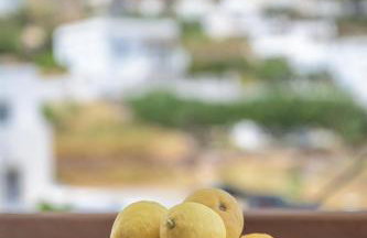 Nobilis view suite - Foto 19