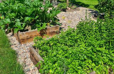 Siedlisko Dębinka - Foto 42