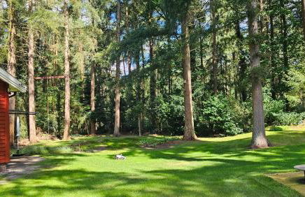 Schwedenhaus in Sandhatten - Foto 8