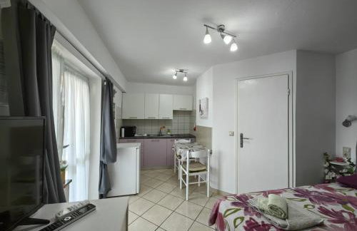 Countryside Studio Apartment Valentina - Foto 2