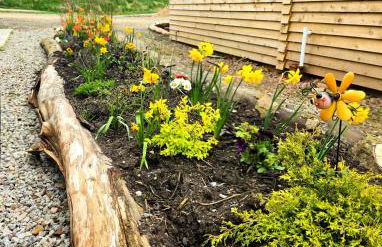 Cabin View - Foto 11