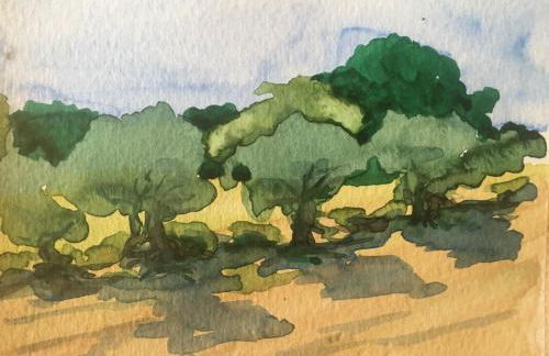 Agriturismo Forestale Luti - Foto 37