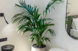 Urbanlux Boutique Apartments - Photo 21