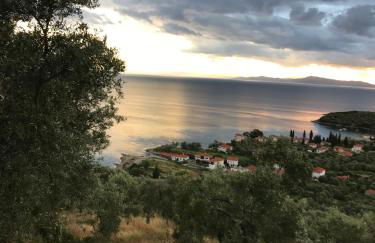 Bill's Garden Villa - Foto 20