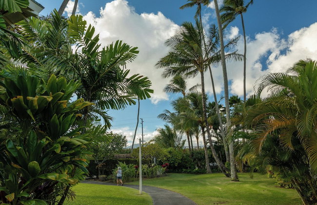 Plantation Hale Suites - Photo 63