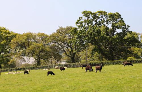 Cefn Isaf - Photo 29