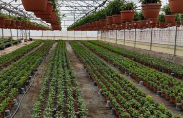 Masseria Sucéa - Foto 45