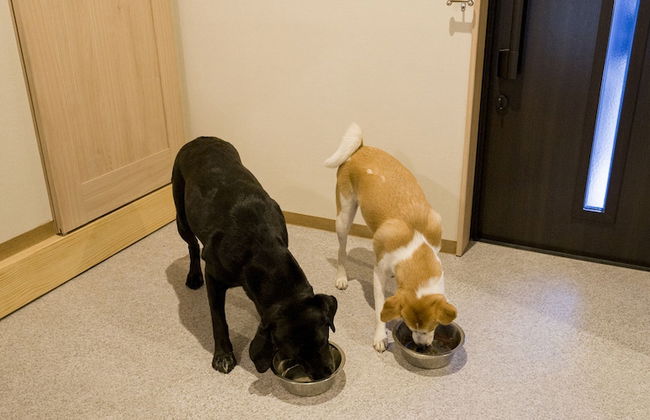 Rakuten STAY Nikko Hoden - Photo 37