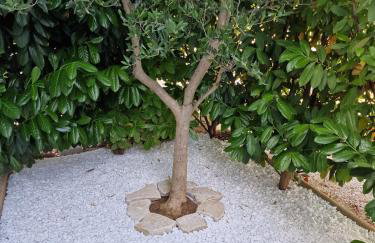 Apartmani Komin - Photo 5