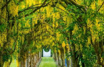 Blairquhan Cottages - Photo 98