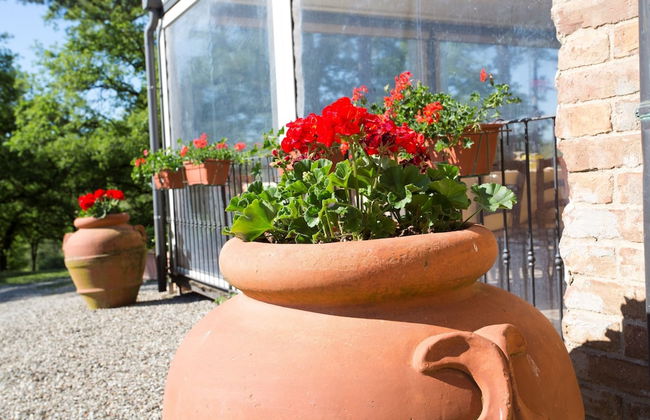 Agriturismo San Galgano - Photo 73