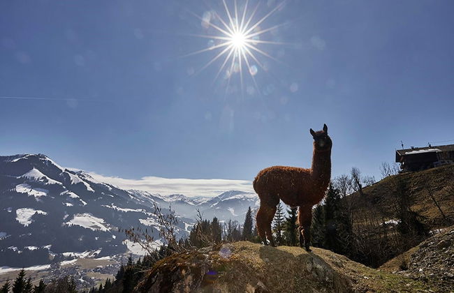 Beautiful Apartment in Westendorf With Sauna - Foto 40