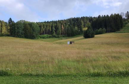 Ferienwohnung Seeblick mit Balkon - Mein Schwarzwaldhäusle - Foto 40