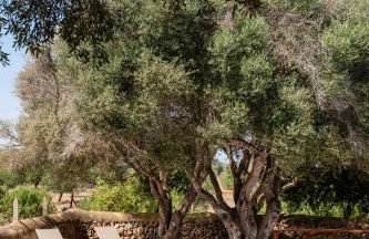 Sa Nau Agroturismo - Adults Only over 16 - Foto 57