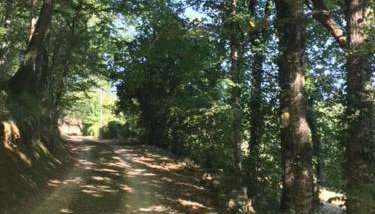 Retour aux sources - Foto 5