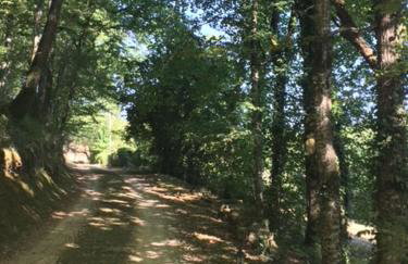 Retour aux sources - Foto 5