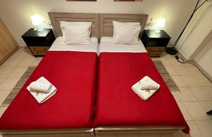 Patras Palm Tree - Foto 11