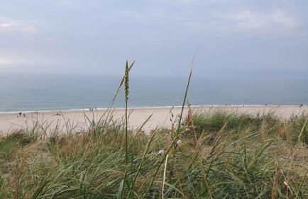 HeidAway Sylt - Schönes Appartment mit Terrasse/Garten - Foto 22