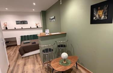 New Le Chouch'heim F1 27 m2 Renovated 2025 clim tv internet - Foto 27