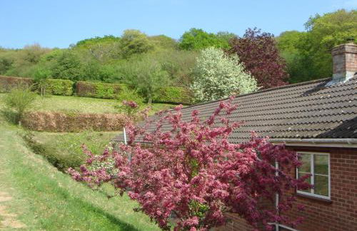 Yellowham Farm, Dorchester - Photo 8