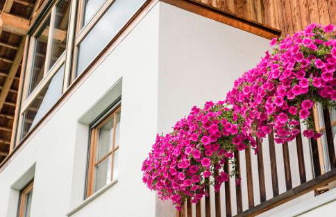 Agriturismo Maso Runch - Foto 31