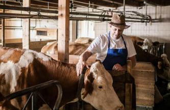 La Majun Fornellahof - Photo 62