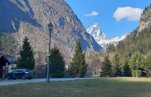 The Green Owl - Foto 22