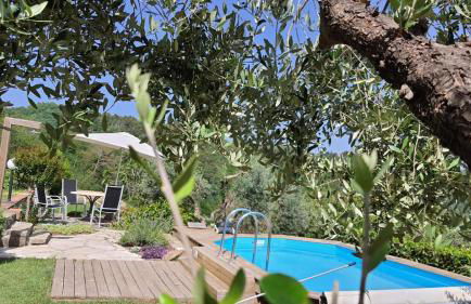 Podere il Poggio - Foto 16