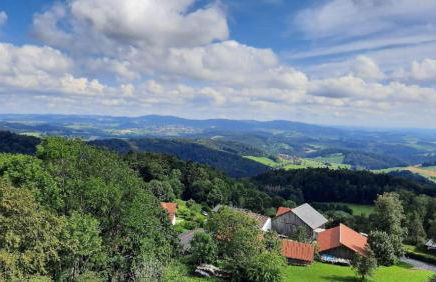 Traumblick Bayerischer Wald, Pool & Sauna, Getränke, Klimaanlage - Foto 34