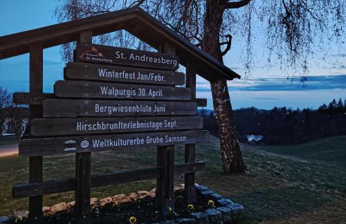 Villa im Harz - Deluxe Appartment - Frühstück, Halbpension buchbar - Foto 52