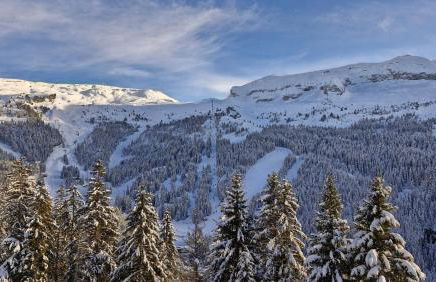 Residence les Pleiades - Foto 2