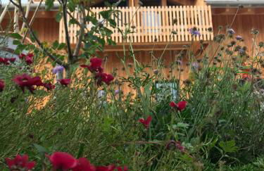 Ferienwohnung mit KönigsCard - Zum Kuckuck - Foto 1