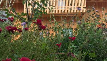Ferienwohnung mit KönigsCard - Zum Kuckuck - Foto 1