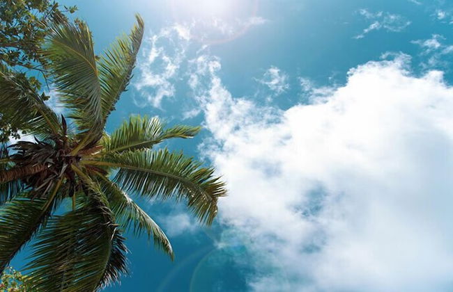 Zen Escape at Terra Verde by Shine Villas - Foto 35