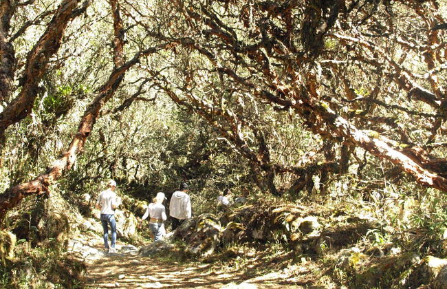 Excursion d’une journée au parc national de Huascarán - Photo 6