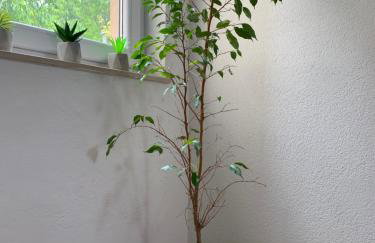 Apartments Nevenka i Josko - Foto 22