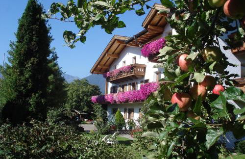 Residence Klementhof - Foto 35