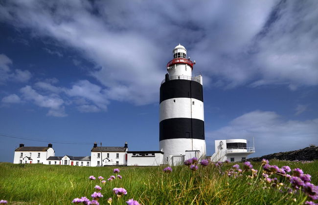 Forest Park HH No 4 - Foto 18