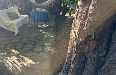 Różany Ogród - Foto 34