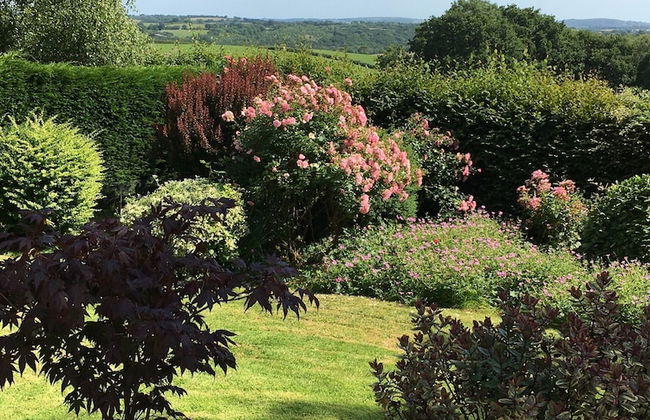 Unique Quirky Studio in Spreyton - Foto 12