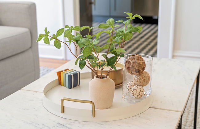 The Adaline - Foto 45