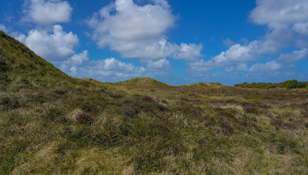Vintage Holiday Home in Rømø near Sea - Photo 5, Miscellaneous