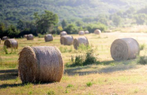 Tenuta Il Cicalino - Foto 50