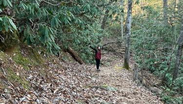 Endless Views Cabin - Photo 2