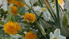 ElleCi Casa Vacanze - Foto 2