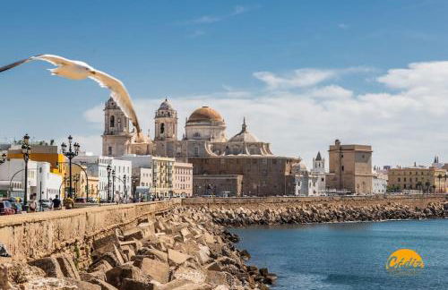 Travelers Dream by LiveWork - Foto 26