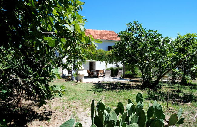 Detached House Miketa - Foto 35