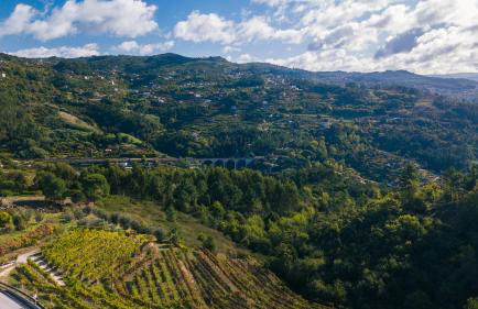 Leiras de Candoz Douro Valley - Foto 33