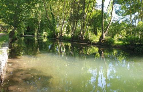 Studio Cerf, quartier marais, terrasse rez de chaussé, jardin accessible, matelas confortable - Foto 7