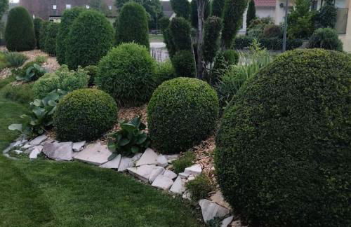 ruhiger als im Hotel, keine andere Gäste - Foto 40